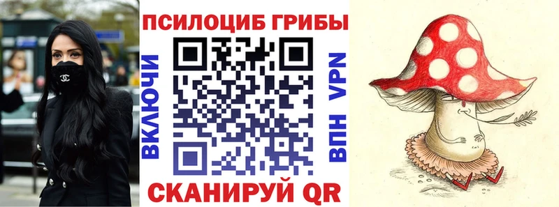 даркнет сайт мориарти наркотические препараты Галлюциногенные грибы мицелий Щёлкино