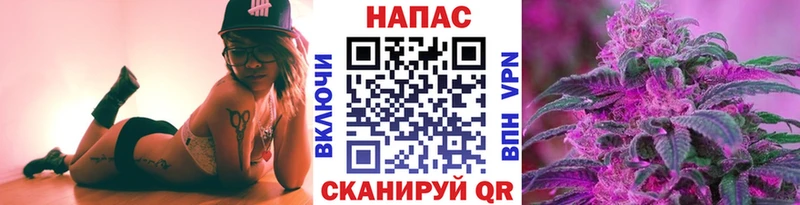 Шишки марихуана конопля Щёлкино